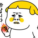 신월점 기아오토큐 이미지