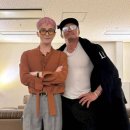 추성훈 카카오 검색결과