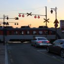 달맞이길62번길 13 이미지