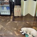 서진세차장 이미지