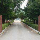 화북초등학교용화분교장 이미지