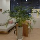 담소쉼터 | [경기/부천] 도시 속 쉼터, 바쁜 일상 속 몸과 마음의 균형을 찾을 수 있는 '소요요가' 평일 방문 후기