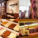 문스타닷컴 | 서울 코엑스 실내 데이트 스타필드 코엑스몰 가볼만한곳 추천 레더라