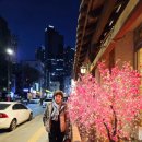 각시보쌈 - 영등포구 선유로 86 | 각시보쌈