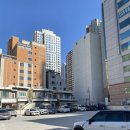 레푸스연산