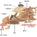 장애물 시합 [Gwangju Family Riding Club] 이미지