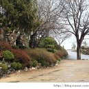 한그루인주