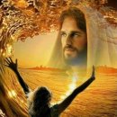 (주)영광 이미지