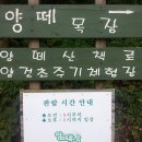 광암목장 이미지