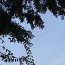 서초서울삼성내과의원 이미지