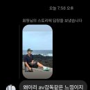 성현농장 | 꿍실냐옹~(제주 출사 후기)