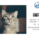 관양동물병원