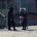 부발세탁소 | 새해 - 이천 시몬스테라스, 떡국, 시에 또 사버리기🎄🍡👚