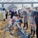 서삼농장 이미지