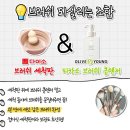 일소양말