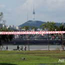 뚝섬한강공원-14 이미지