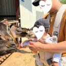 해돌목장 이미지