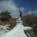 삼봉마을_동 이미지