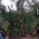 방죽골농장 이미지