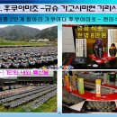 충남농원염소 이미지