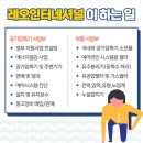 레오인터내셔널 이미지