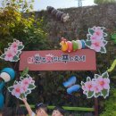 꽃동산어린이집 이미지