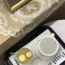 270-3038 | 하남 미사 카페: 애견동반 가능한 꽃집 겸 케이크 맛집 폴앤데이지