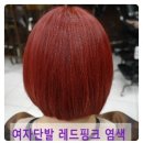 한스 헤어 - 성북구 | 한스 헤어