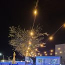 베베올레 이미지