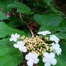 하늘빛바다 이미지