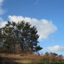 태안여자고등학교 이미지