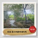 오방길 | 안성 대형카페 온스어폰어네이처 정원이 예쁜 식물테마카페 카이막맛집