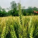 갈곡농장 이미지