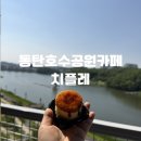 호수공원 | 동탄호수공원카페 치플레 치즈케익 후기