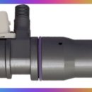 대한부란자 이미지