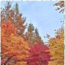 시민행정사사무소 이미지