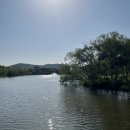 기산호수 흑과백 | [주말 나들이 추천] 인천대공원 동물원 재개장 후기, 주차장 꿀팁