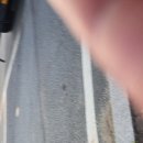 윌 무인텔 이미지