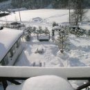 삼양펜션 이미지