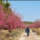 신안축구장 축구장 이미지