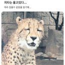 선자문 | 37회 파생상품투자권유자문인력 합격 후기