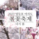 ﻿[서울 영등포]2024 영등포 여의도봄꽃축제[2024.03.29 ~ 2024.04.02] 이미지
