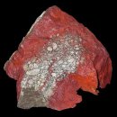 광동성반점 이미지