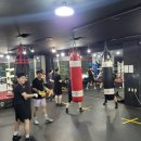 앨바트로 복싱 이미지