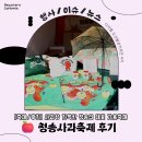 제15회 청송사과축제 | 청송의 대표 가을축제 — 제19회 청송사과축제 후기 🍎