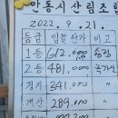 2022년 송이 값 이미지