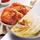 pet61고4613 | 글로벌 포장 김치 시장, K-김치 날다..