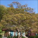 상주 옥동서원 이미지