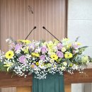 2026년 2월 1주 성전 꽃꽂이 - 비단나무 블로그에서 이미지