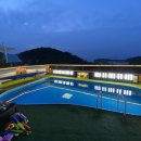 솜니움트리 이미지